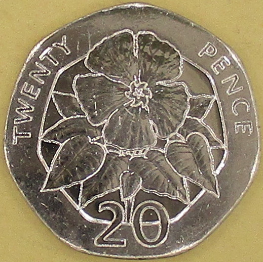 moneta nr 5765