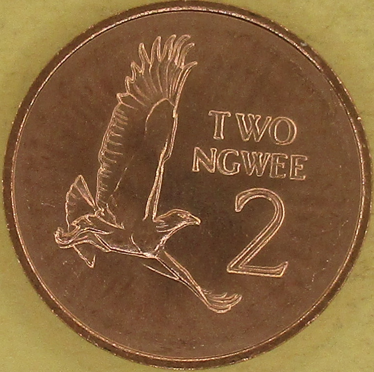 moneta nr 5101