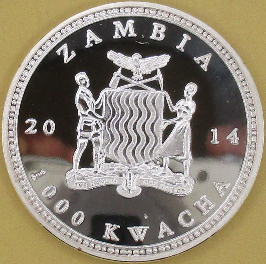 Zdjęcie do Papuga Modroara hiacyntowa Hyacinth macaw 1000 kwacha