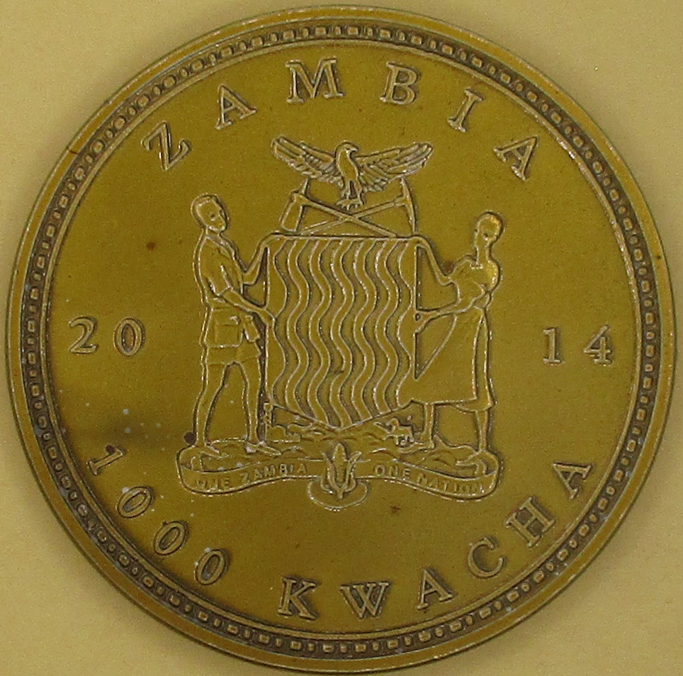 Zdjęcie do Zebra 1000 kwacha wersja żółta