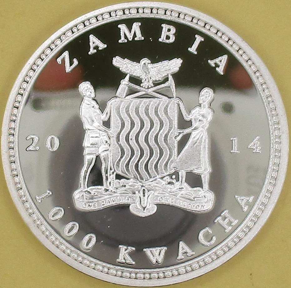 Zdjęcie do Żółw 1000 kwacha