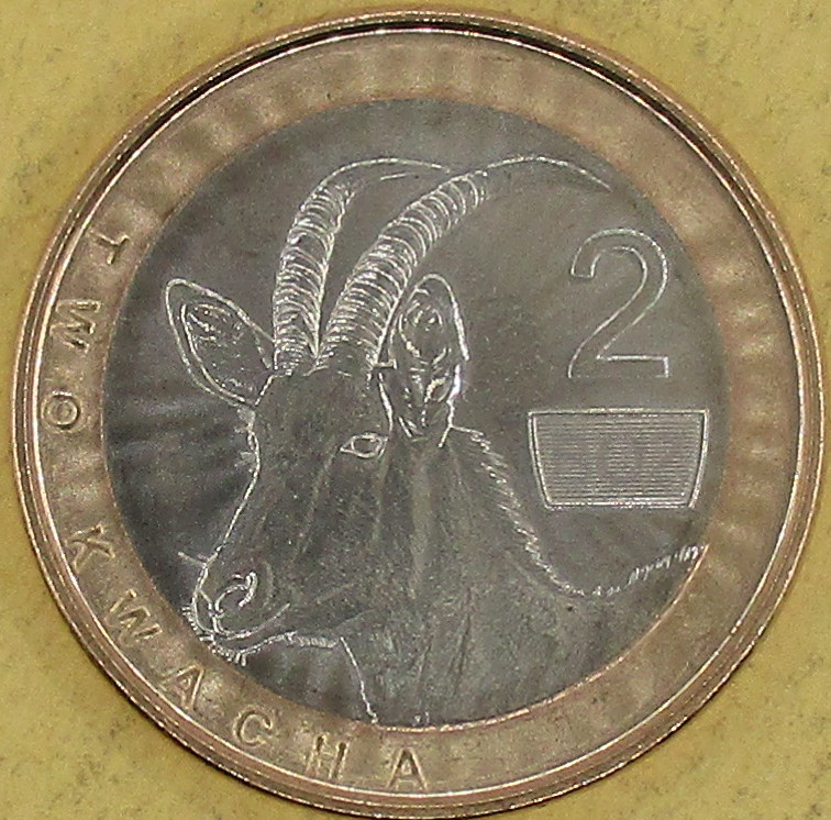 moneta nr 5282