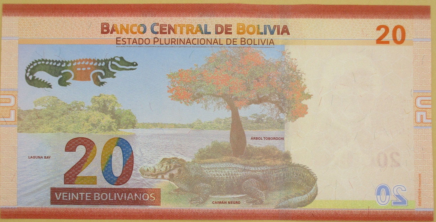 Zdjęcie do Banknot obiegowy 20 bolivianos