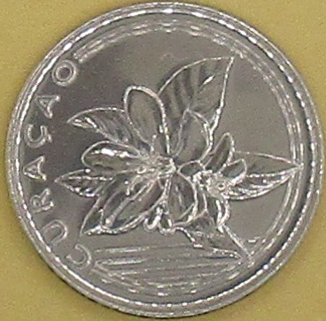 Zdjęcie do Pomarańcza chińska Citrus sinensis obiegowe 1 centów