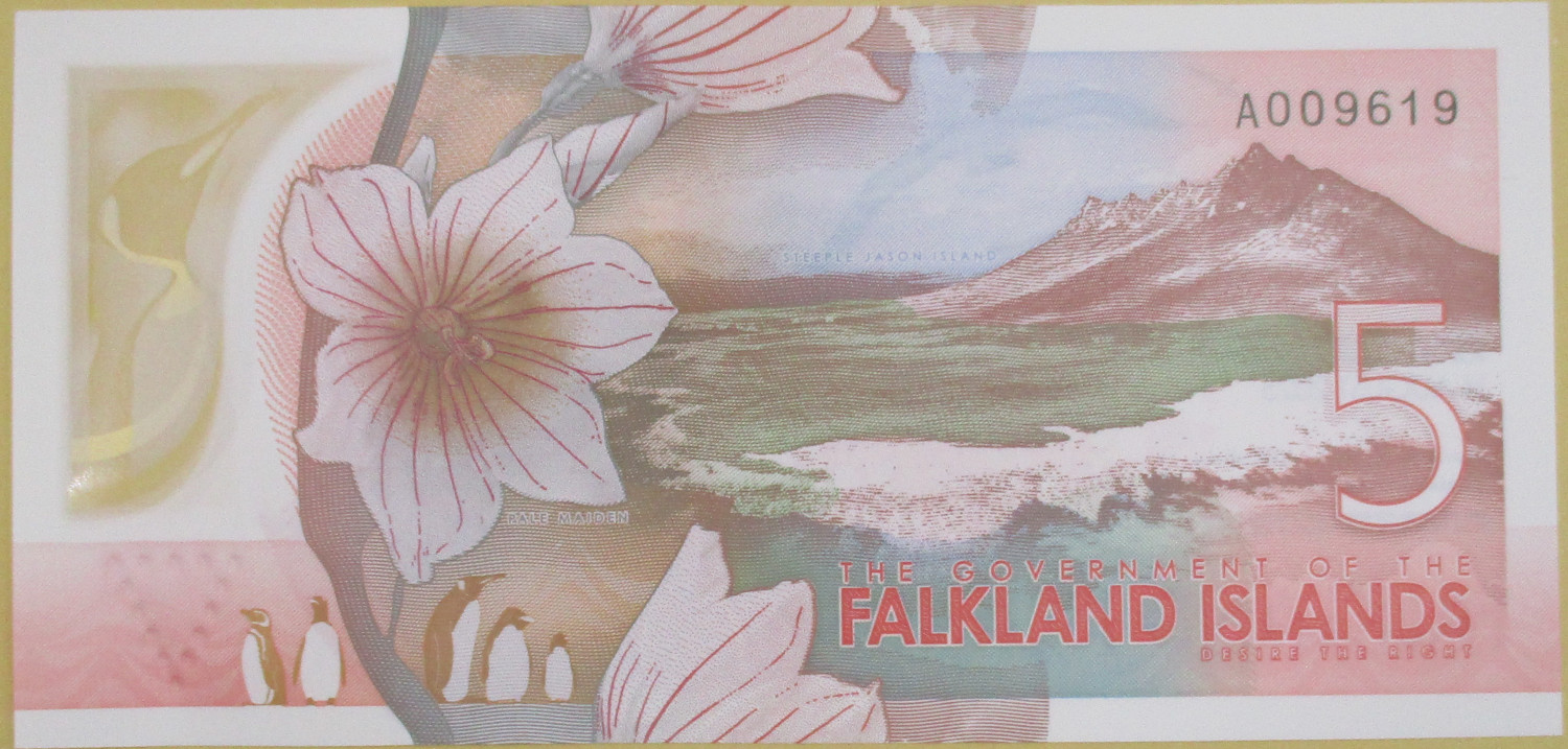 Zdjęcie do PACZKA bankowa (100szt) obiegowy 5 funtów