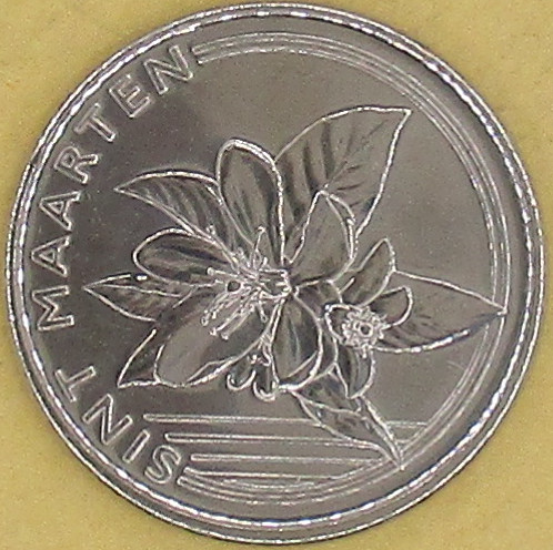 Zdjęcie do Pomarańcza chińska Citrus sinensis 1 cent