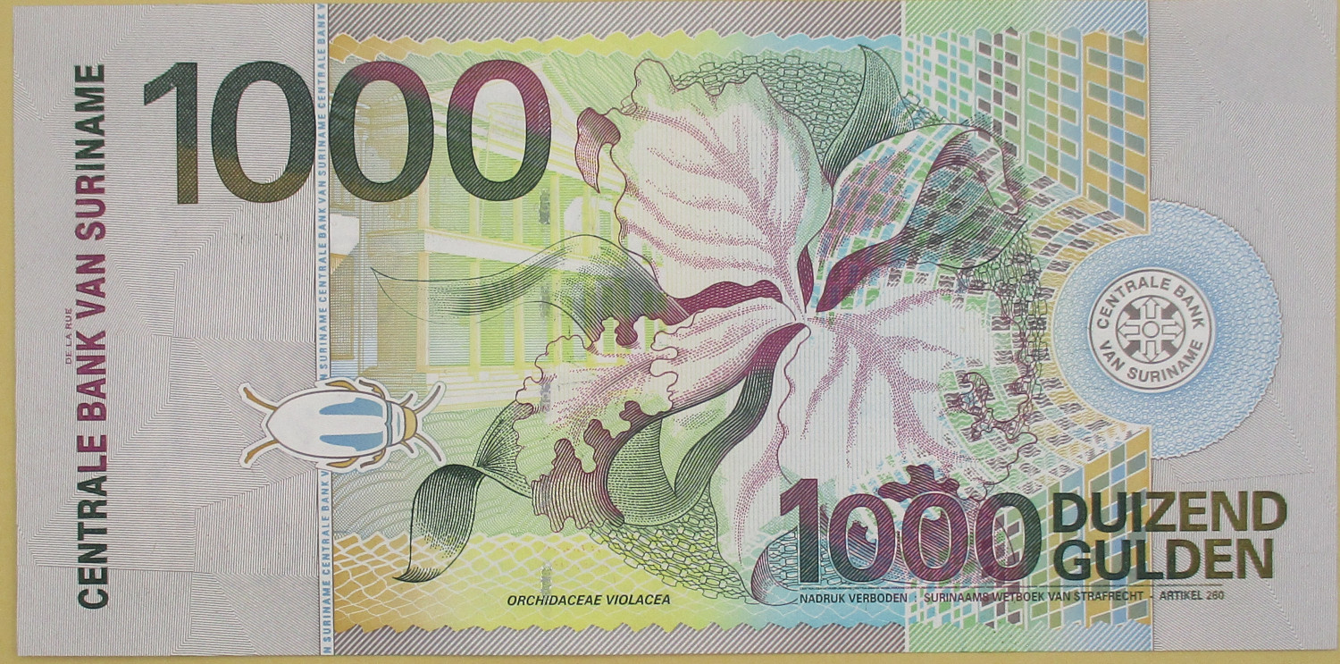 Zdjęcie do Banknot obiegowy 1000 guldenów