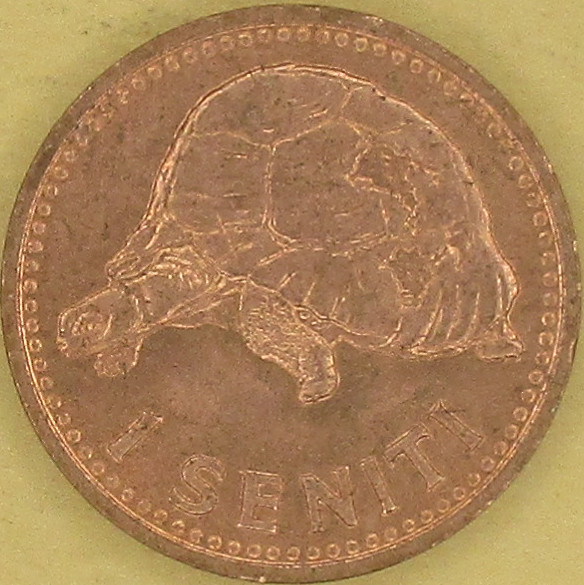 moneta nr 5834