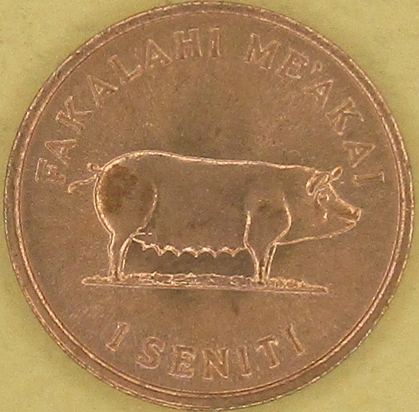 moneta nr 5833