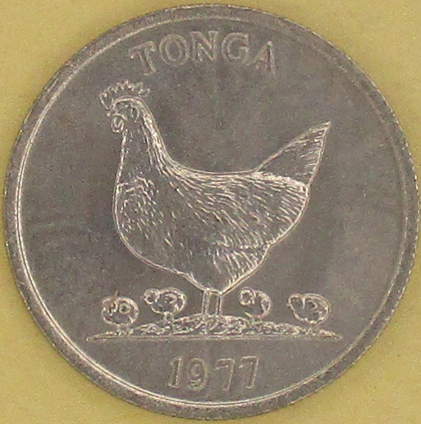Zdjęcie do FAO Kura banany 5 seniti