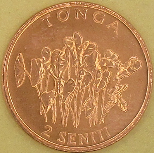 moneta nr 5775