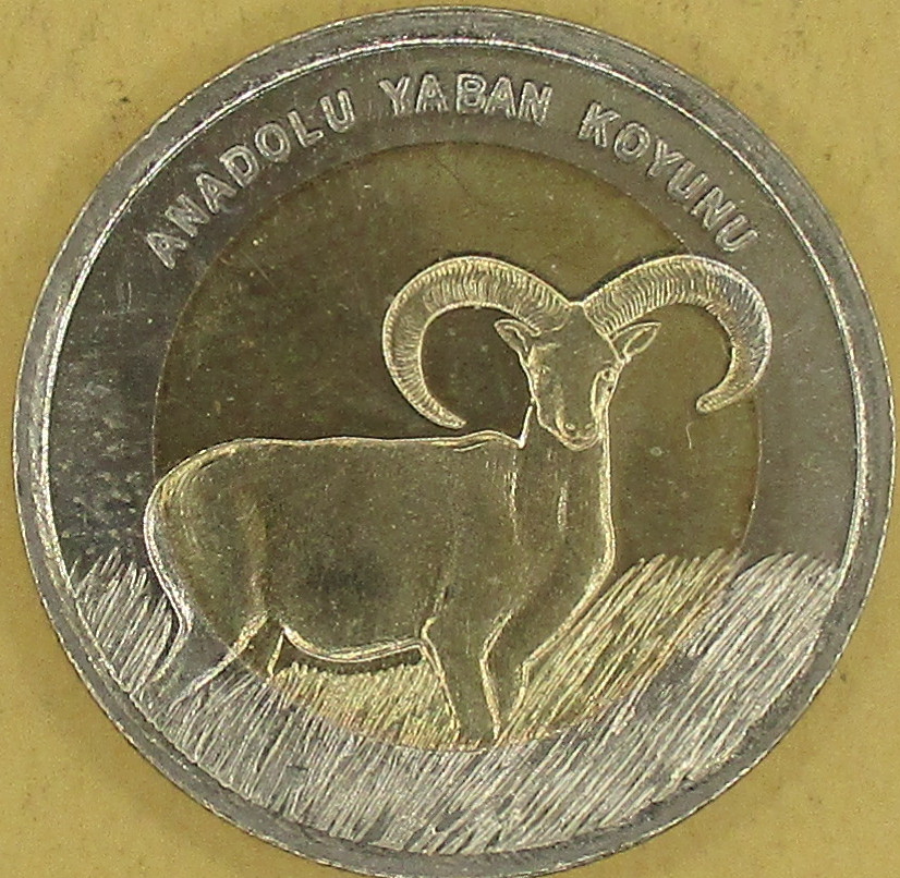 moneta nr 4679
