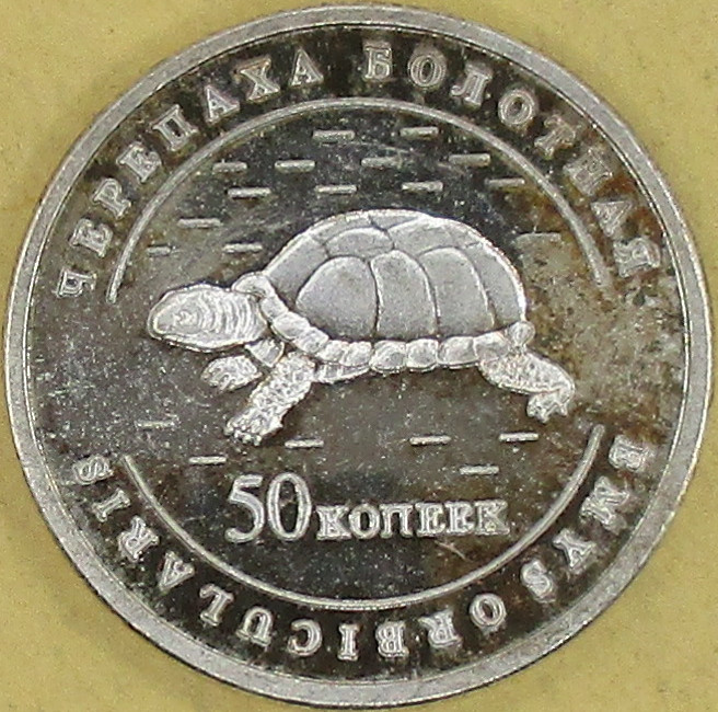 moneta nr 4923