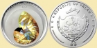 PALAU 2007 Muszla Nautilus 
