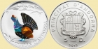 ANDORA 2012 Głuszec 
