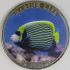 ANDAMAN I NICOBAR 2023 NARCONDAM Angelfish 