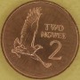 ZAMBIA 1983 Orzeł Wojownik Polemaetus bellicosus zbrojny 2 ngwee 