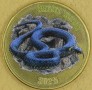 WYSPA CHILOE 2025 Zaskroniec zwyczajny natrix natrix 2 funty 