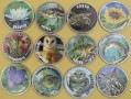 UKRAINA 2025 Czerwona Księga zestaw 12 monet na monetach 5 kopiejek typ II 