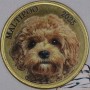PAGAN WYSPA 2025 DOG SERIES Maltipoo 3 dolary 
