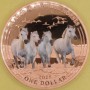 Konie Camargue 1 dolar
