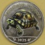 Żółw madagaskarski astrochelys yniphora 5 rupii