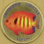 LABUAN 2025 Cherubinek ognisty centropyge loricula 5 ringgit 