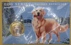 PAGAN WYSPA 2025 DOG SERIES Golden retreiver 3 dolary 