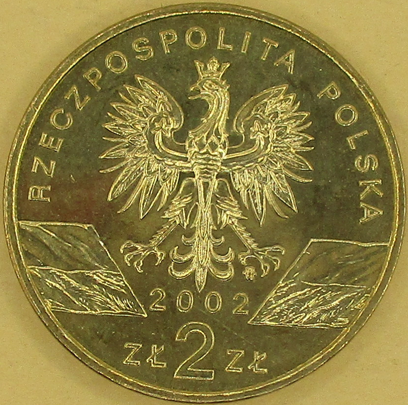 Zdjęcie do Żółw błotny 2 złote