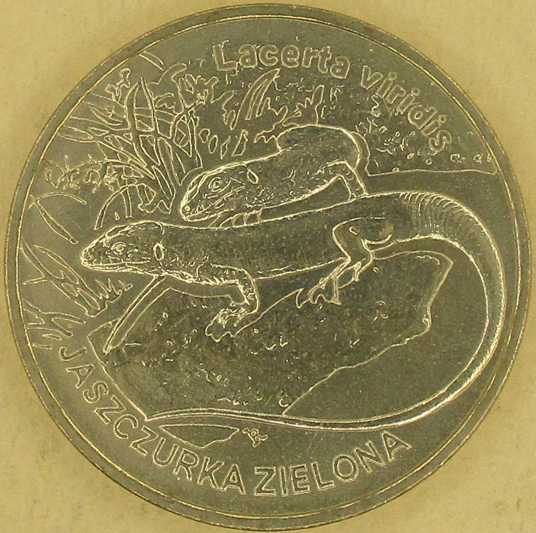 moneta nr 2746
