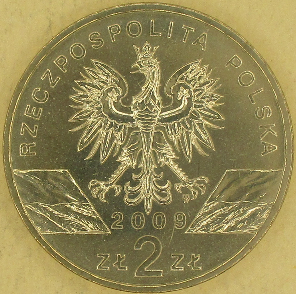Zdjęcie do Jaszczurka zielona 2 złote