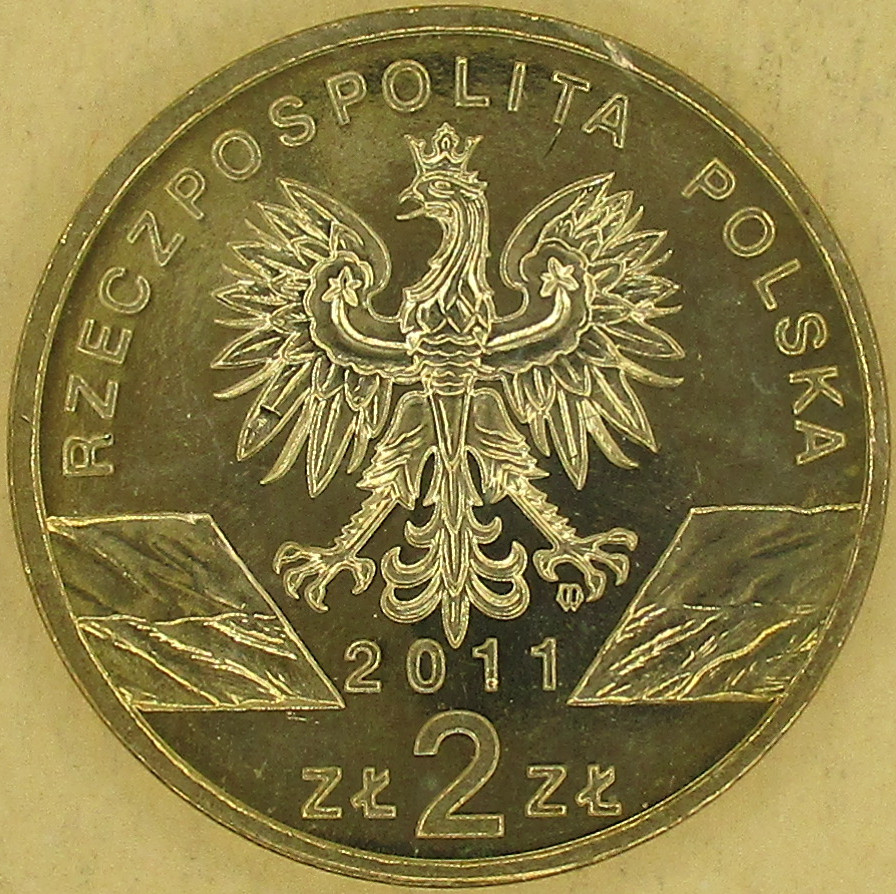 Zdjęcie do Borsuk meles meles 2 złote